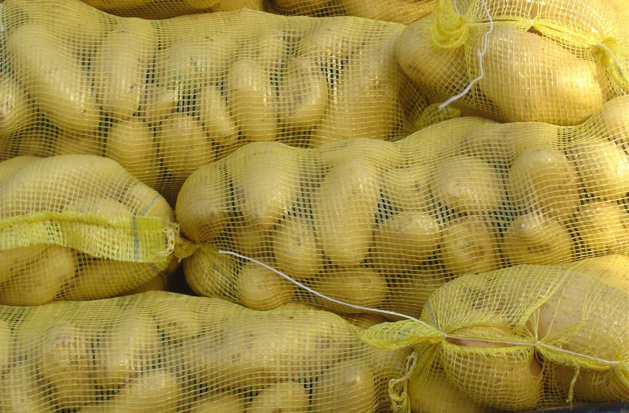 pp cam çuval kullanım alanları